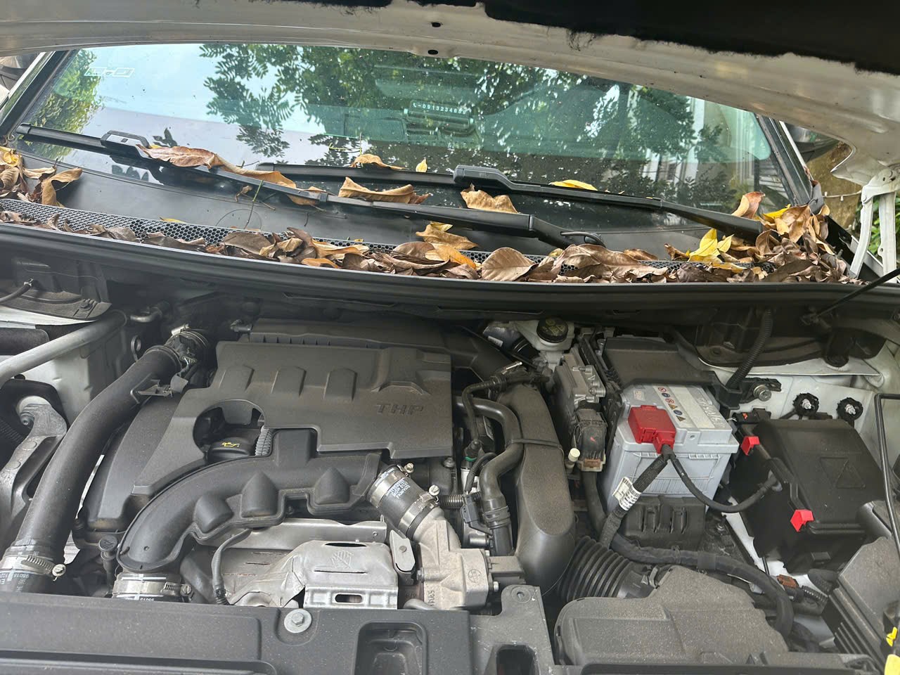 Peugeot 3008 AL 2022 - Ngoại thất 2