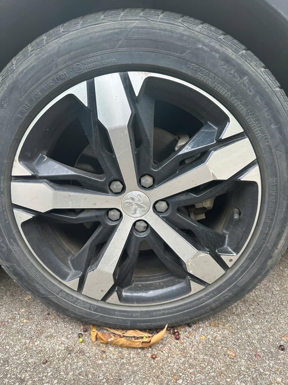 Peugeot 3008 AL 2022 - Ngoại thất 19